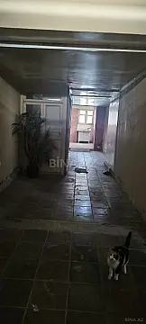 Kirayə verilir 4 otaqlı həyət evi 180 m²