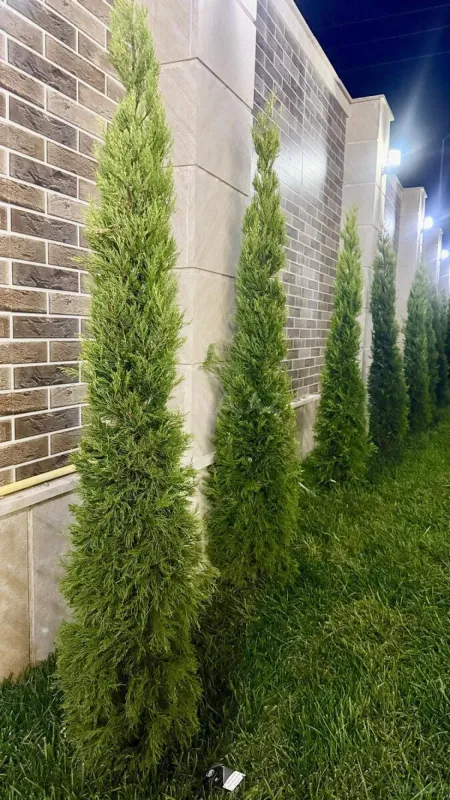 Satılır 4 otaqlı həyət evi 130 m²