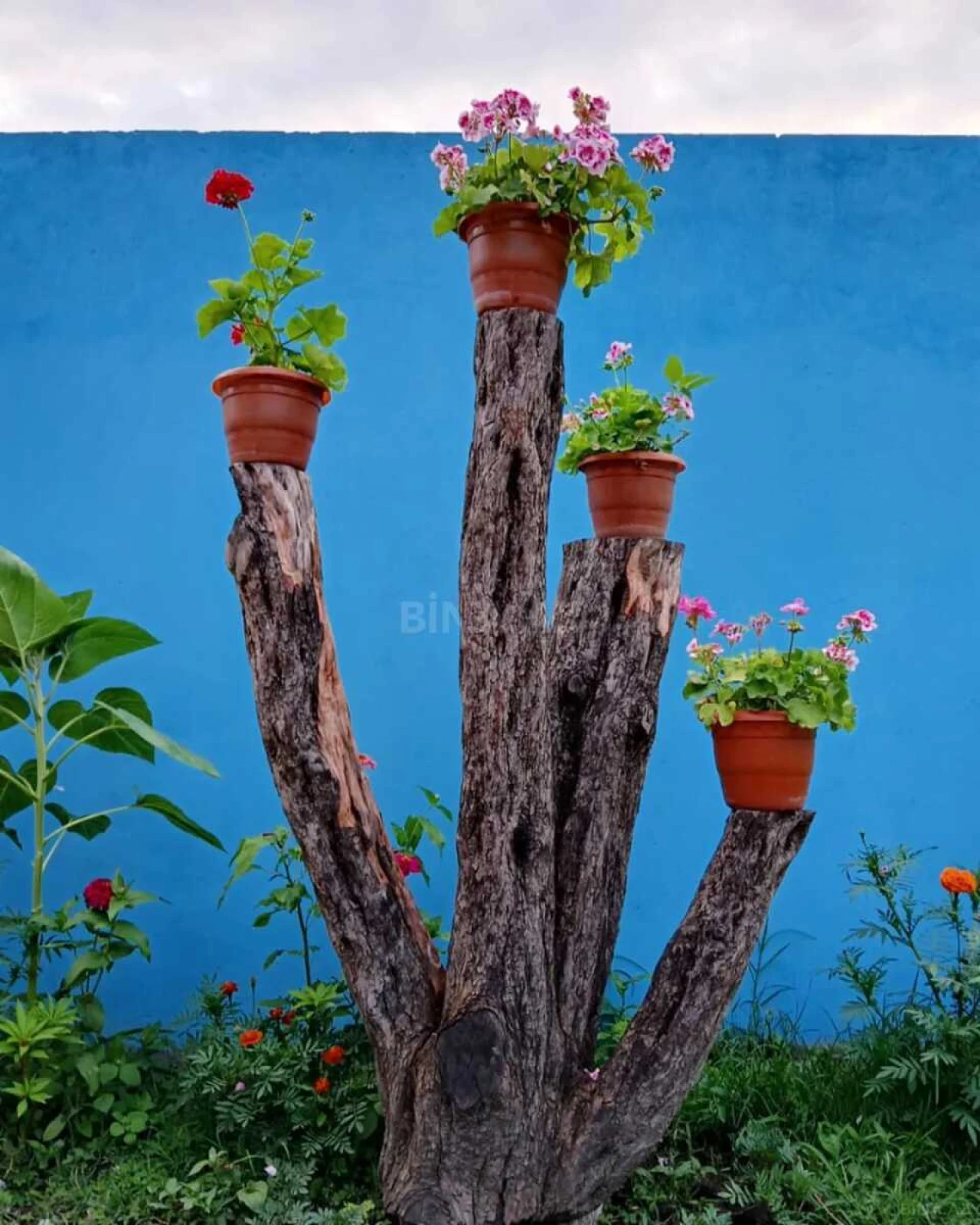 Kirayə verilir 2 otaqlı həyət evi 100 m²