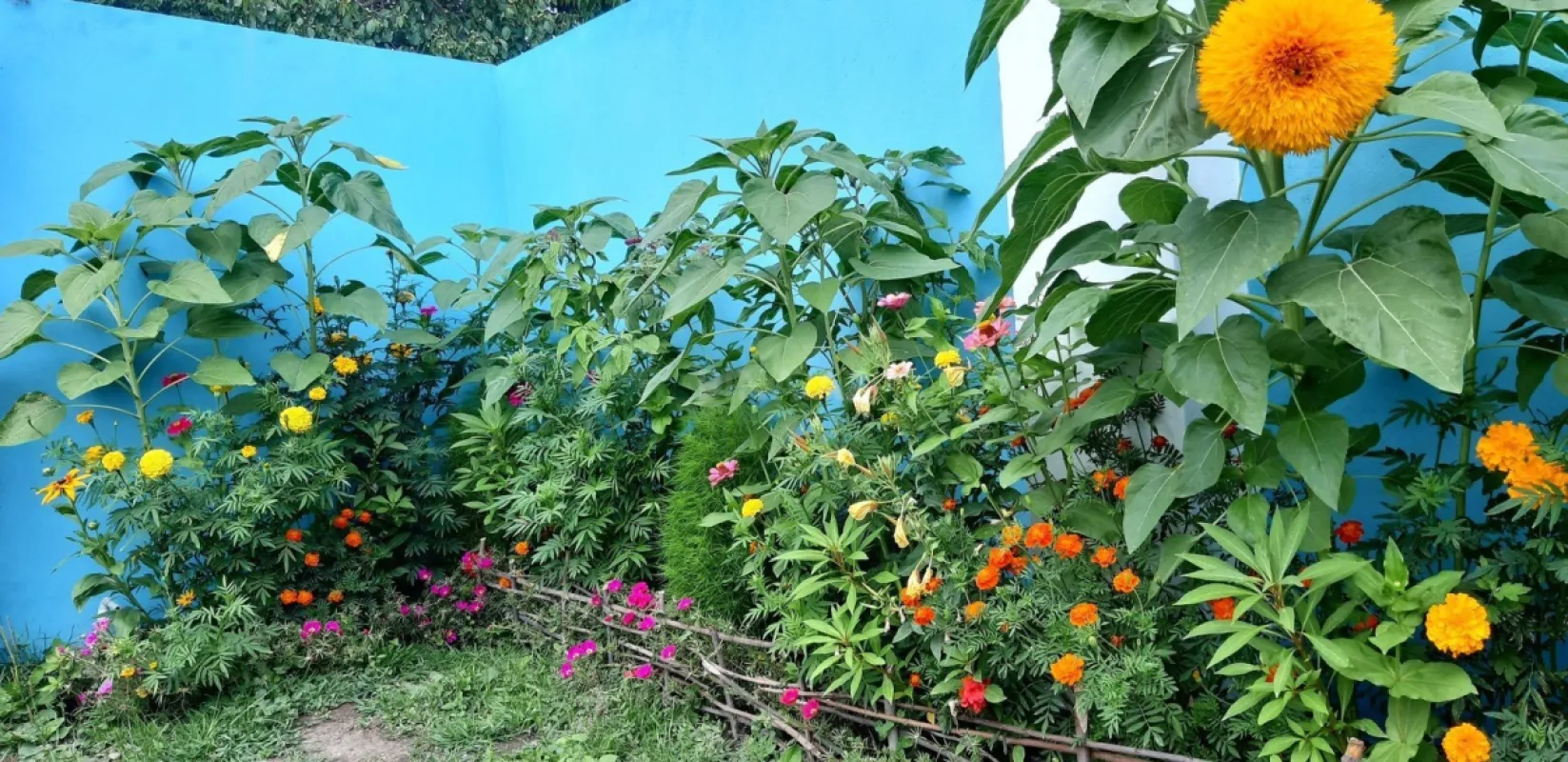 Kirayə verilir 2 otaqlı həyət evi 100 m²