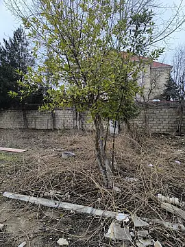 Satılır torpaq sahəsi 3.5 m²