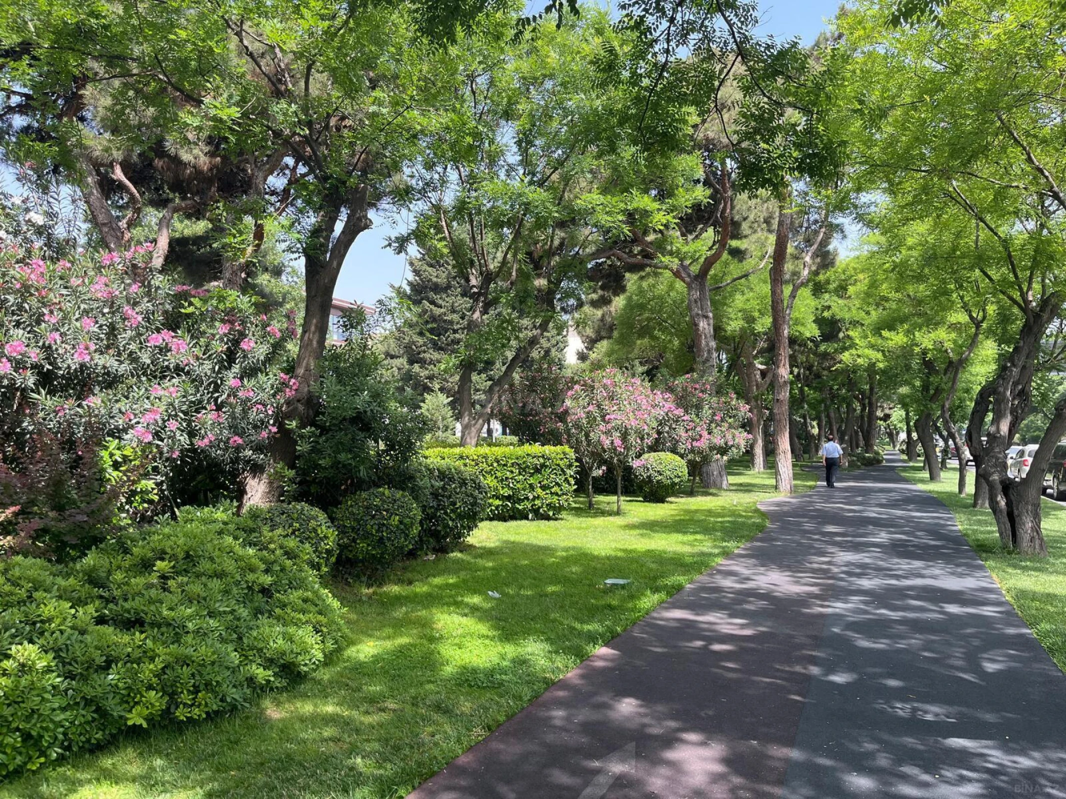 Satılır 2 otaqlı mənzil 45 m²