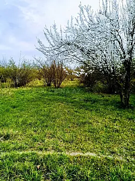 Satılır 4 otaqlı həyət evi 300 m²