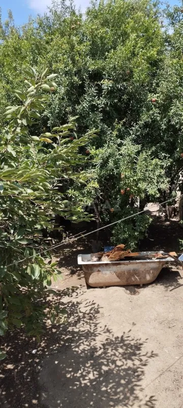 Satılır 4 otaqlı həyət evi 100 m²