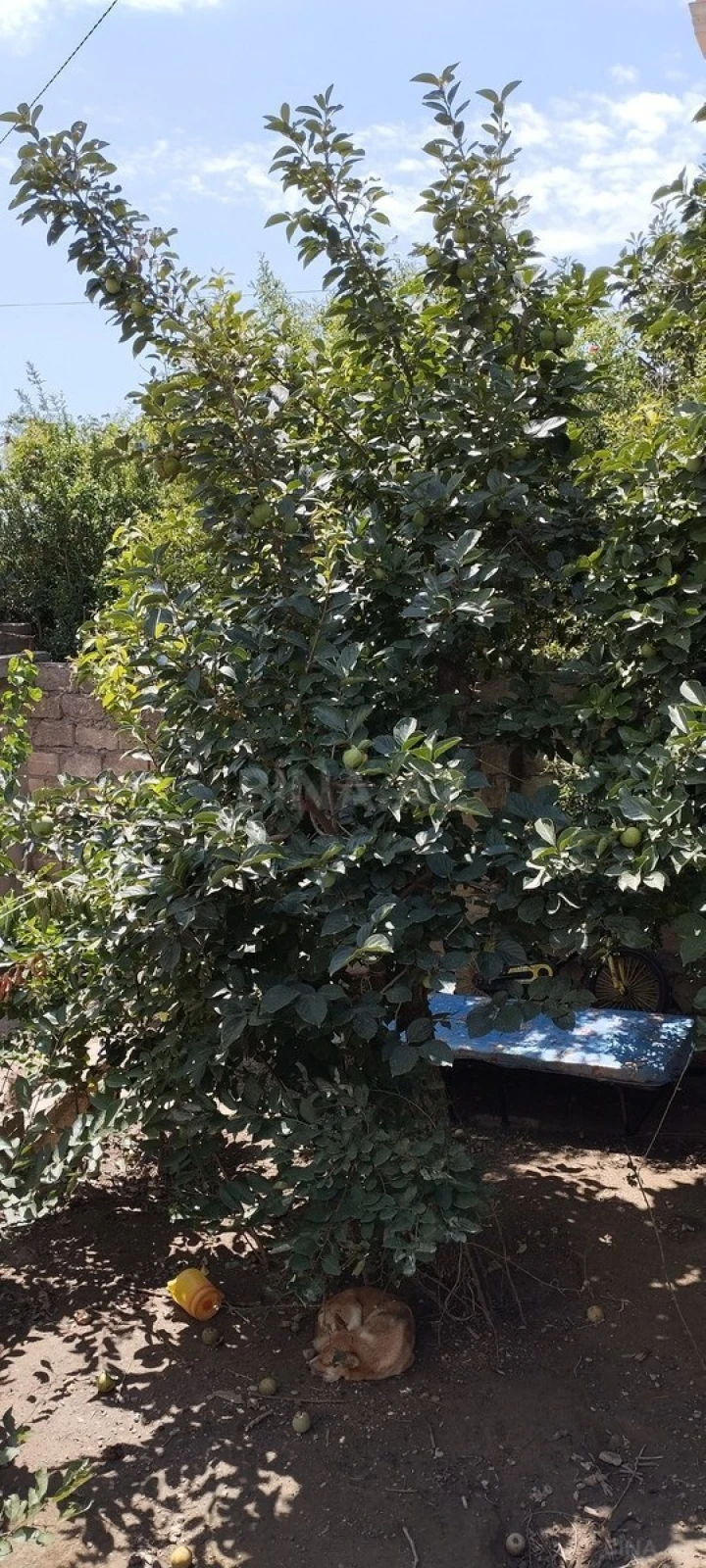 Satılır 4 otaqlı həyət evi 100 m²