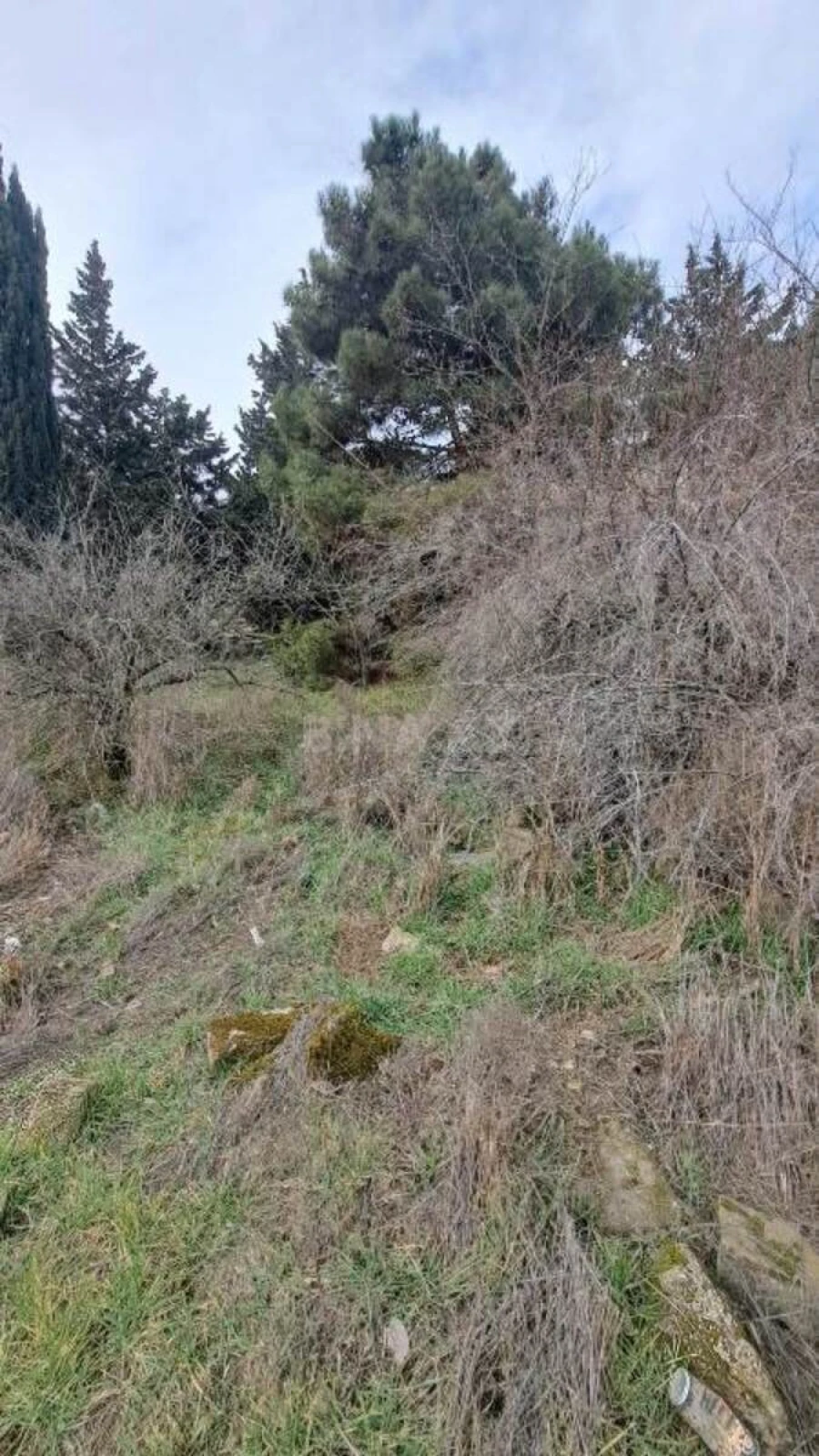 Satılır torpaq sahəsi 9 m²