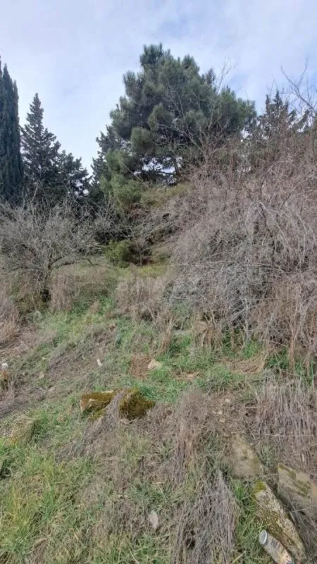 Satılır torpaq sahəsi 9 m²