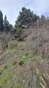 Satılır torpaq sahəsi 9 m²