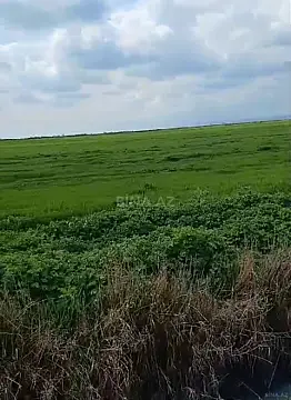 Satılır torpaq sahəsi 17500 m² — Ağsu 17500.00 m²