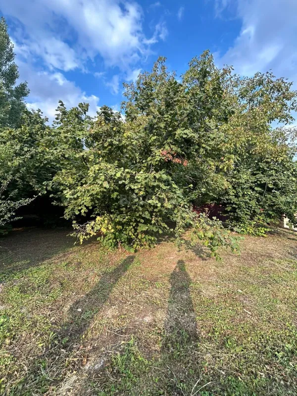 Satılır torpaq sahəsi 12 m²