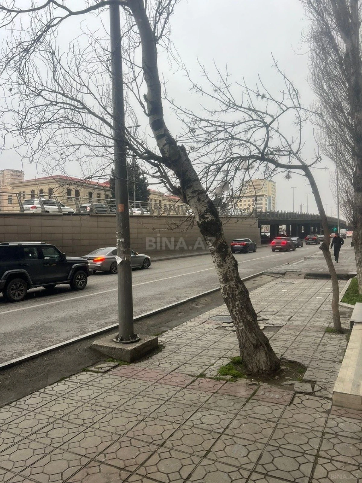 Kirayə verilir obyekt 180 m²