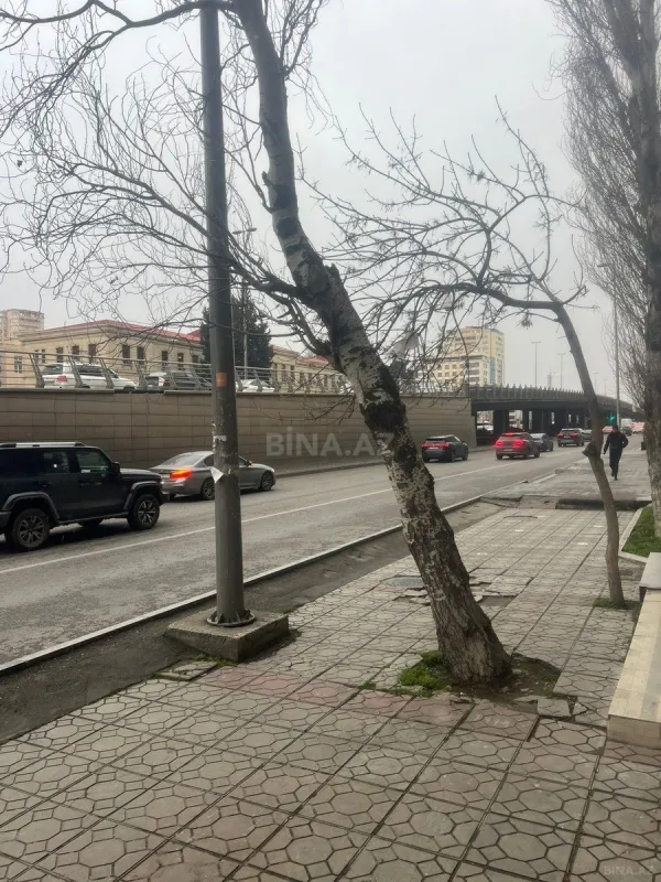 Kirayə verilir obyekt 180 m²