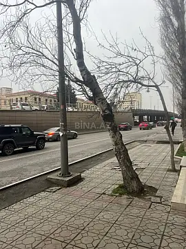 Kirayə verilir obyekt 180 m² — Bakı, Nərimanov 180.00 m²