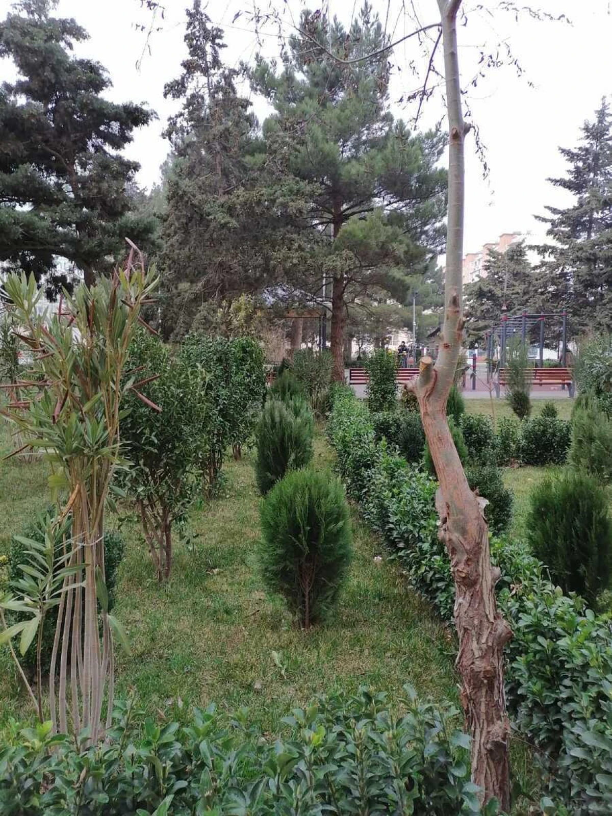 Satılır 2 otaqlı mənzil 59.9 m²