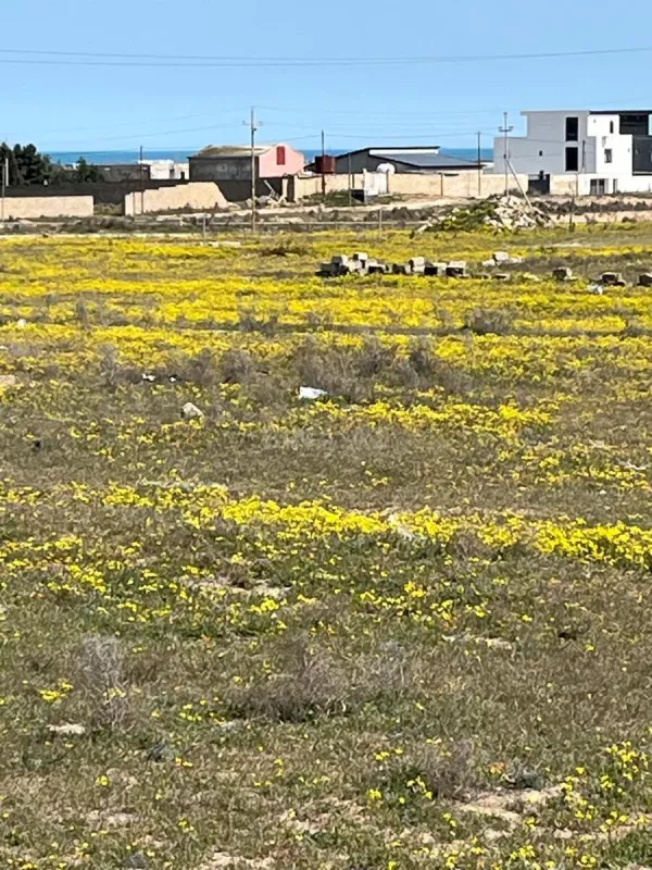 Satılır torpaq sahəsi 10 m²