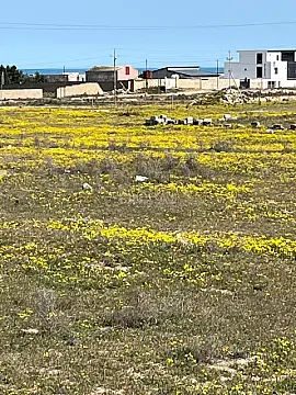 Satılır torpaq sahəsi 10 m² — Bakı 10.00 m²