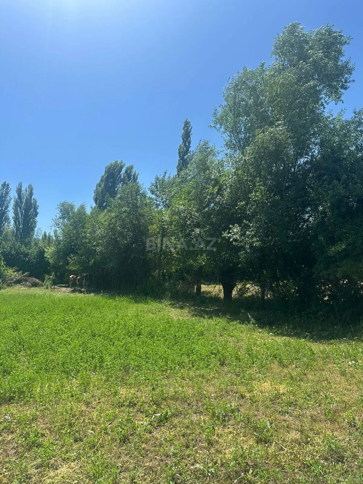 Satılır torpaq sahəsi 15 m²