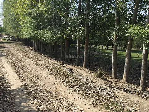 Satılır torpaq sahəsi 15 m² — Qusar 15.00 m²