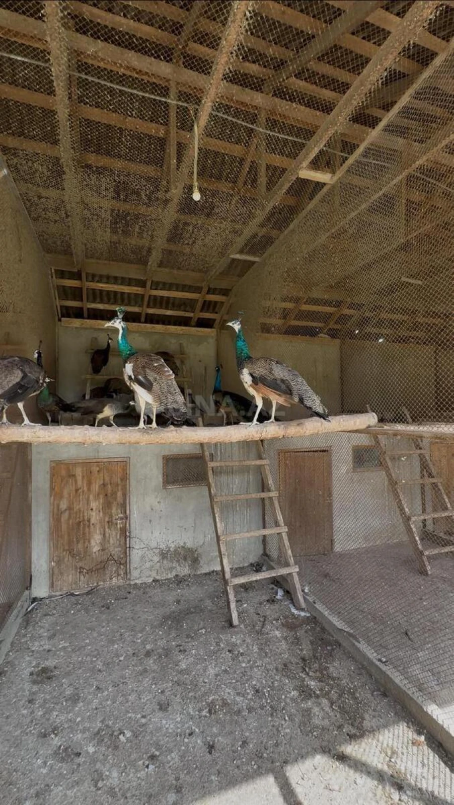 Kirayə verilir 7 otaqlı həyət evi 400 m²