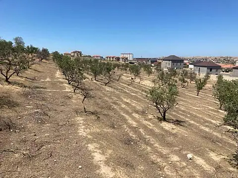 Satılır torpaq sahəsi 48 m² — Bakı, Saray 48.00 m²