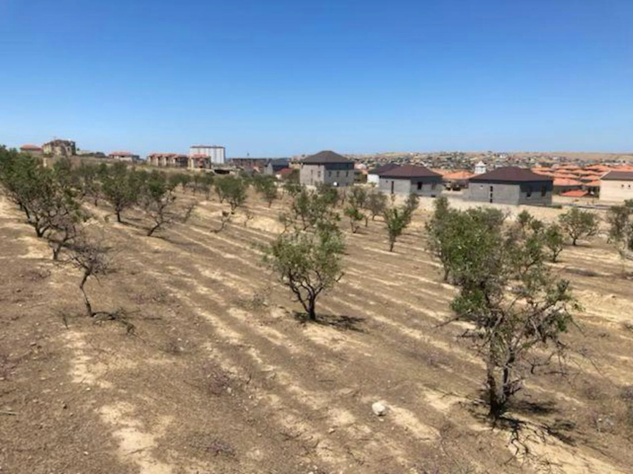 Satılır torpaq sahəsi 48 m²