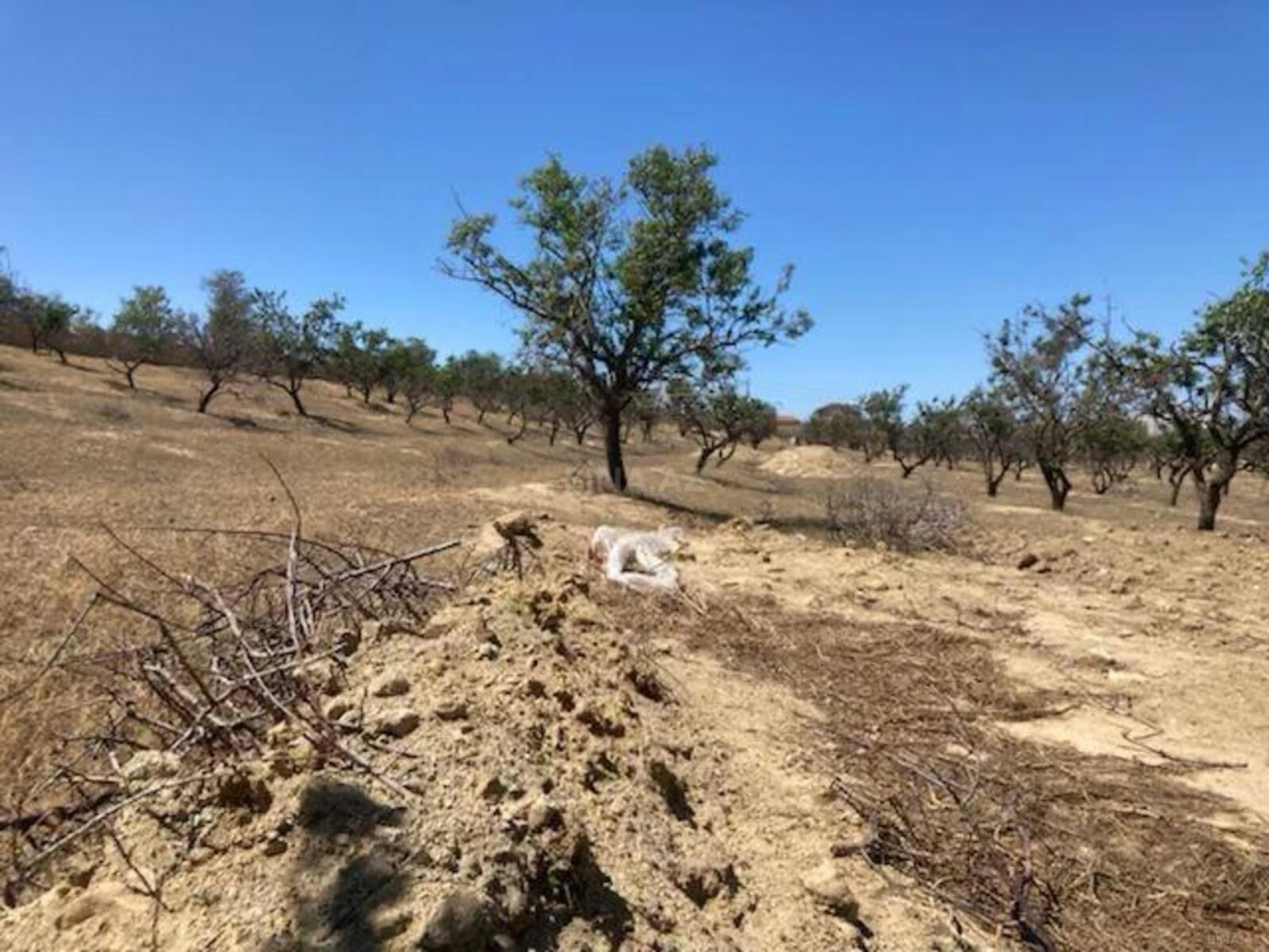 Satılır torpaq sahəsi 48 m²