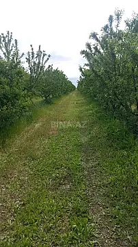 Satılır obyekt 120000 m²