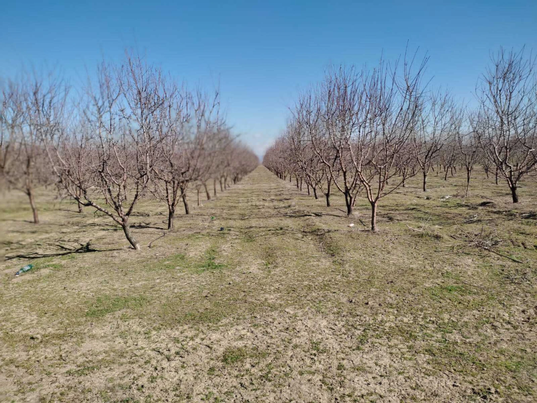 Satılır obyekt 120000 m²