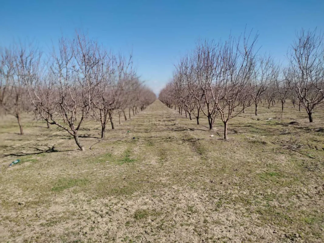 Satılır obyekt 120000 m²