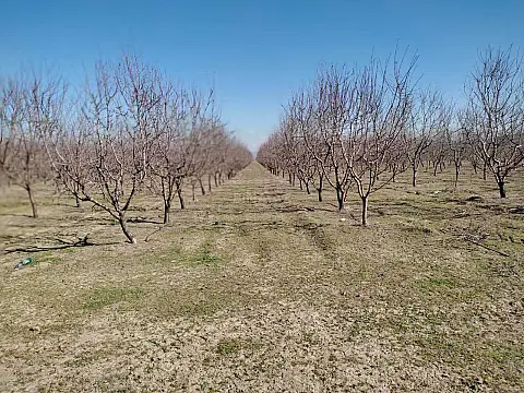 Satılır obyekt 120000 m²