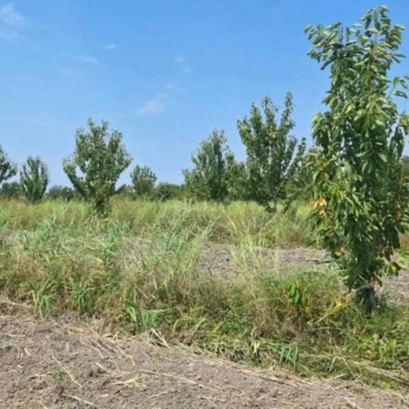 Satılır torpaq sahəsi 367 m²