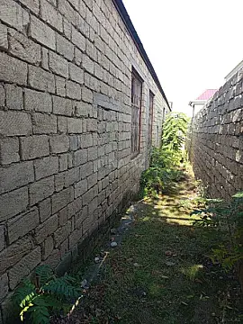 Satılır obyekt 310 m²