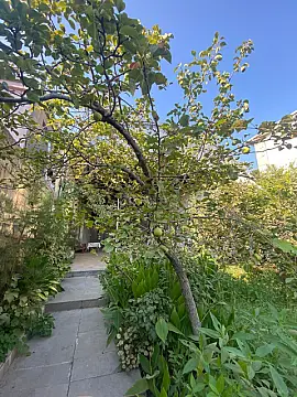 Satılır 7 otaqlı həyət evi 226 m²