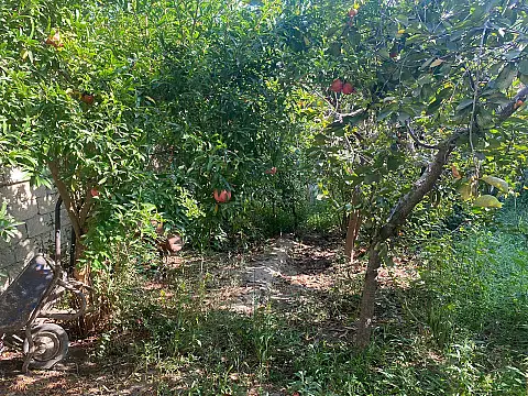 Satılır 7 otaqlı həyət evi 226 m²