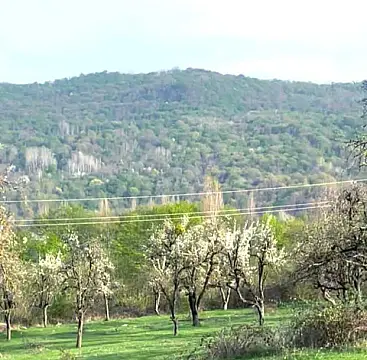 Satılır torpaq sahəsi 140 m²