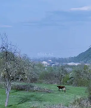 Satılır torpaq sahəsi 140 m²
