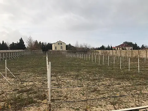 Satılır torpaq sahəsi 60 m² — Bakı, Fatmayı 60.00 m²