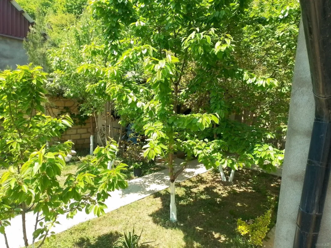 Kirayə verilir 4 otaqlı həyət evi 200 m²