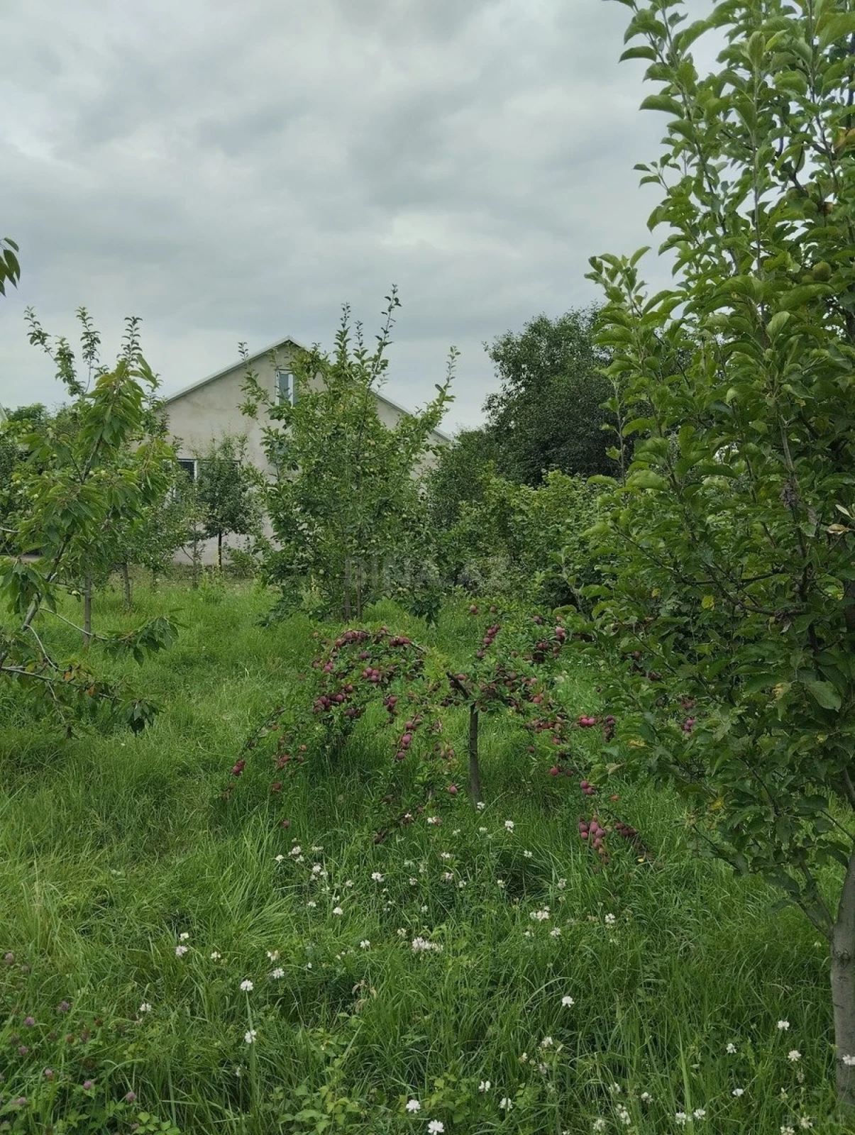 Kirayə verilir 3 otaqlı həyət evi 135 m²