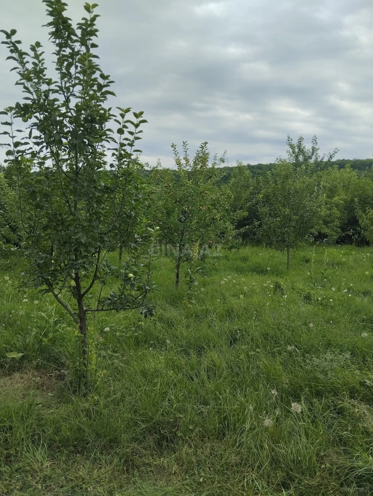 Kirayə verilir 3 otaqlı həyət evi 135 m²