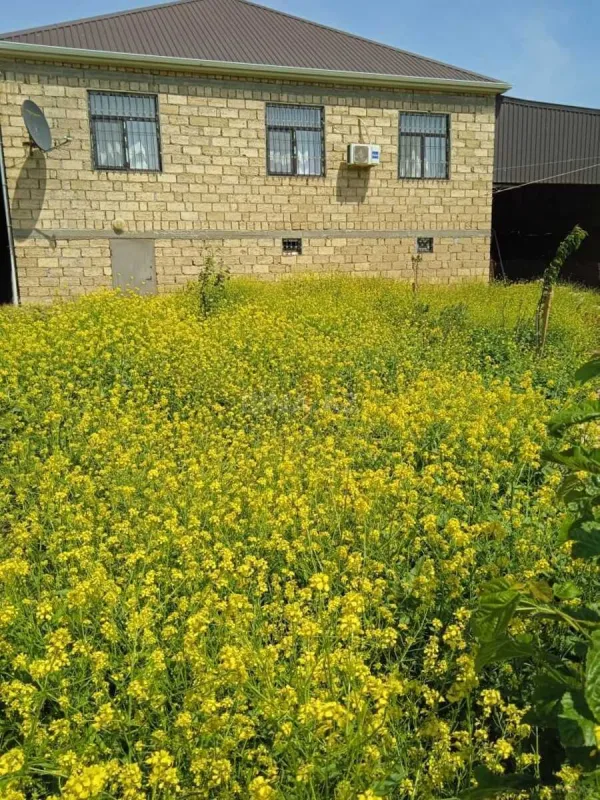 Satılır 5 otaqlı həyət evi 143 m²