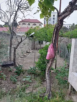 Satılır torpaq sahəsi 8 m²