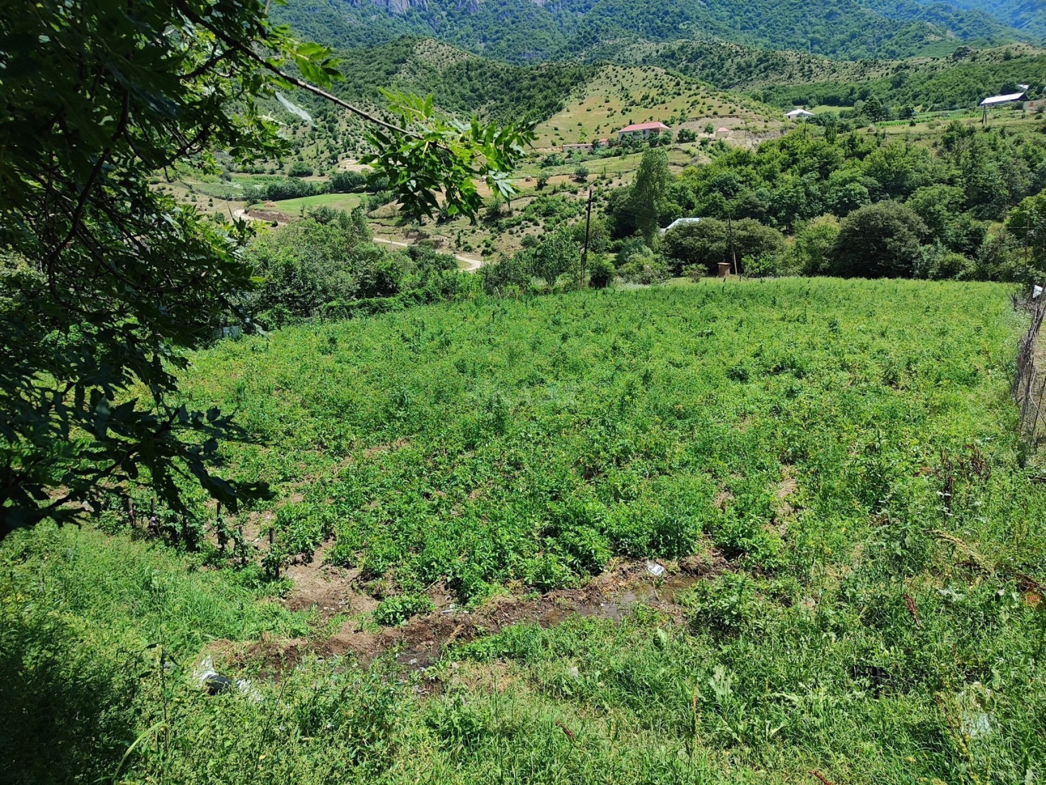 Satılır 2 otaqlı həyət evi 82.7 m²