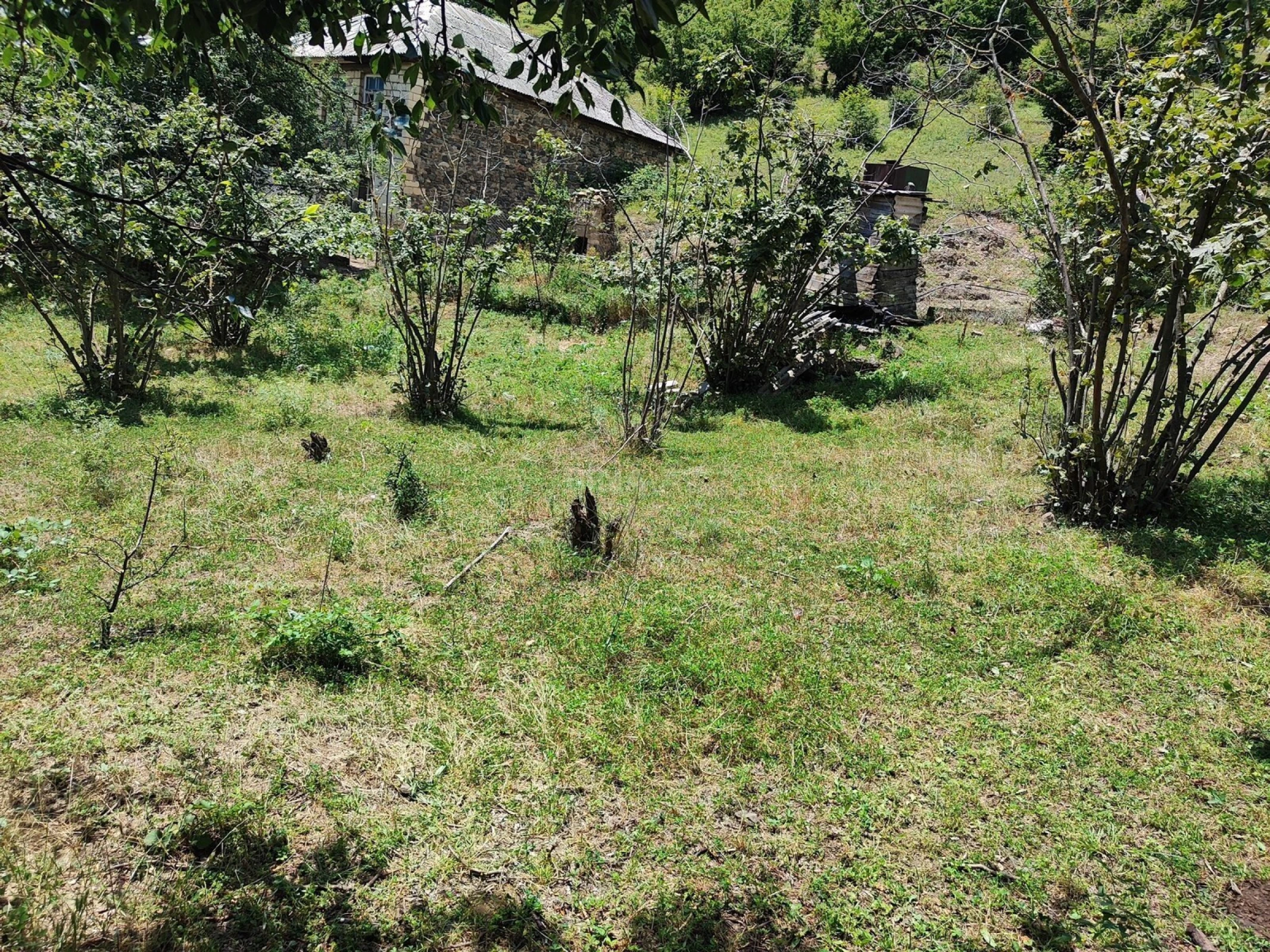 Satılır 2 otaqlı həyət evi 82.7 m²