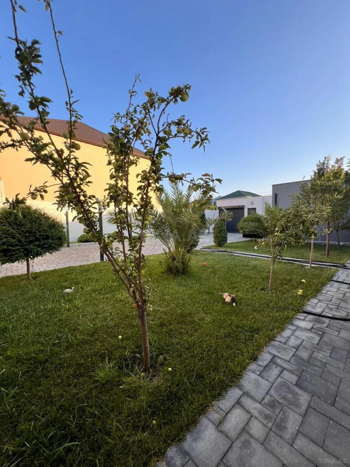 Satılır 5 otaqlı həyət evi 215 m²