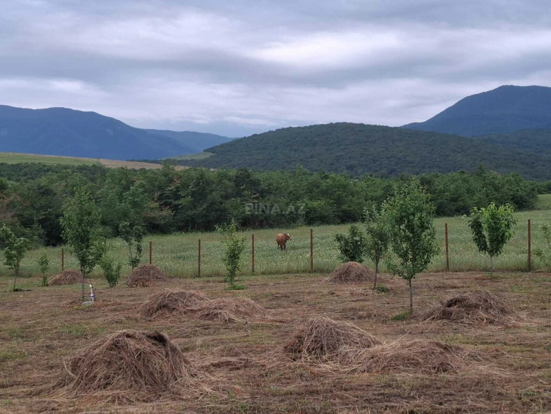 Satılır torpaq sahəsi 12 m²