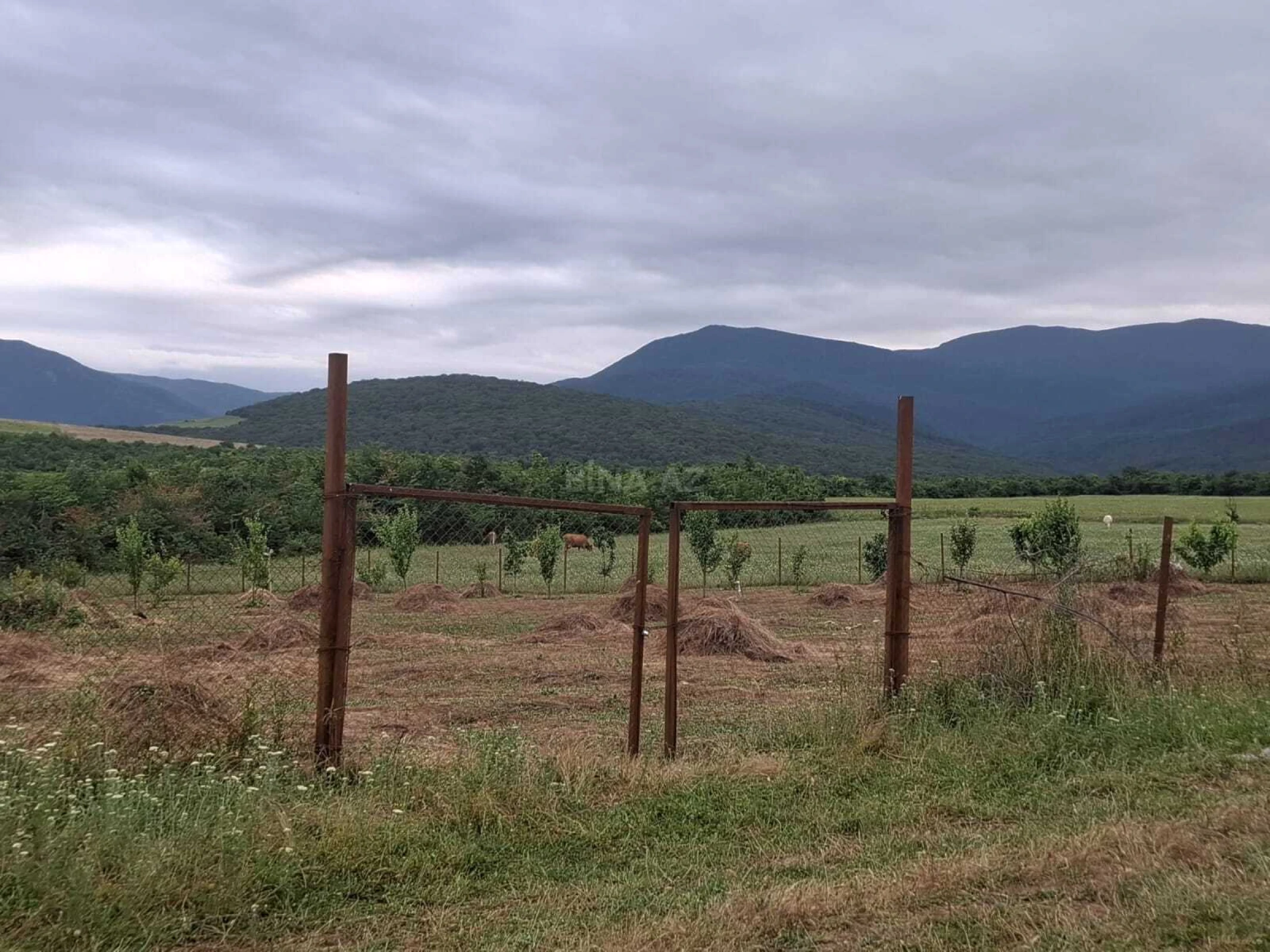 Satılır torpaq sahəsi 12 m²