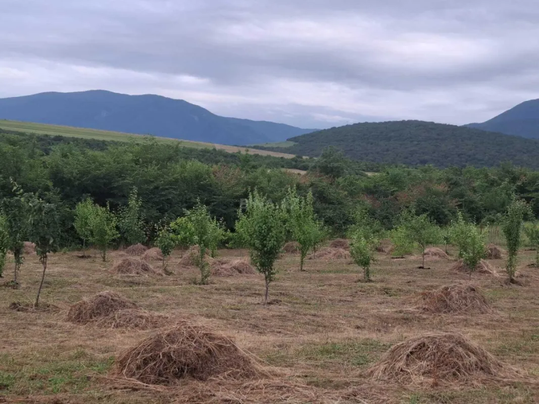 Satılır torpaq sahəsi 12 m²