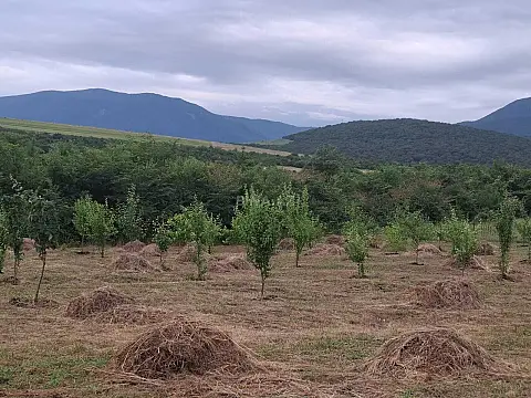 Satılır torpaq sahəsi 12 m²