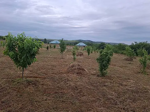 Satılır torpaq sahəsi 12 m²